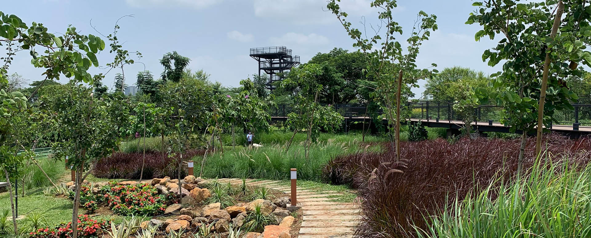 20251113_Manjari Landscape2