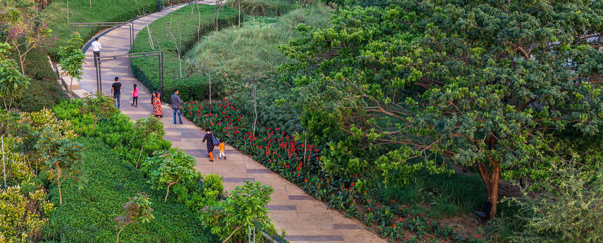 20251113_Manjari Landscape3