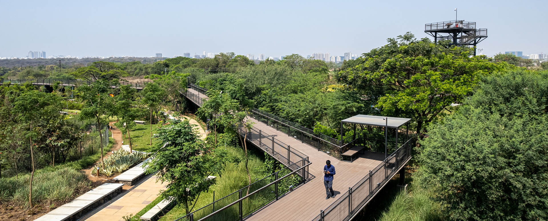 20251113_Manjari Landscape5