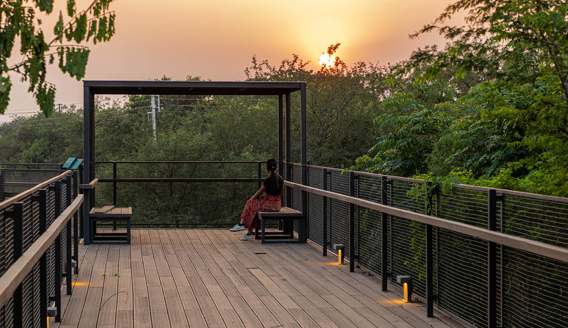 20251113_Manjari Landscape11