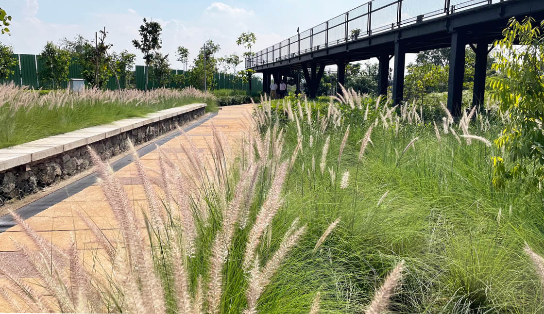 20251113_Manjari Landscape13