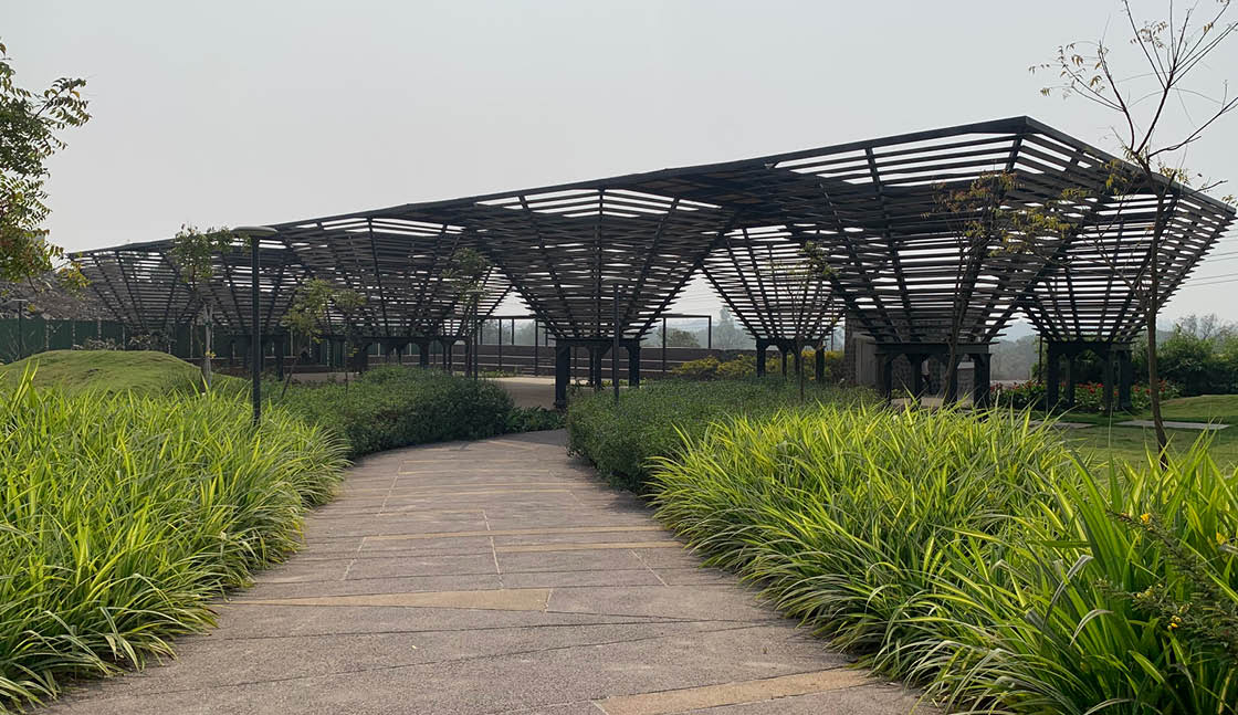 20251113_Manjari Landscape15